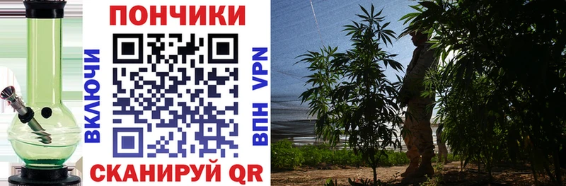 Где купить наркоту Трубчевск КОКАИН  Амфетамин  Alpha PVP  Бошки Шишки  ГАШ  МЕТАМФЕТАМИН  Меф 